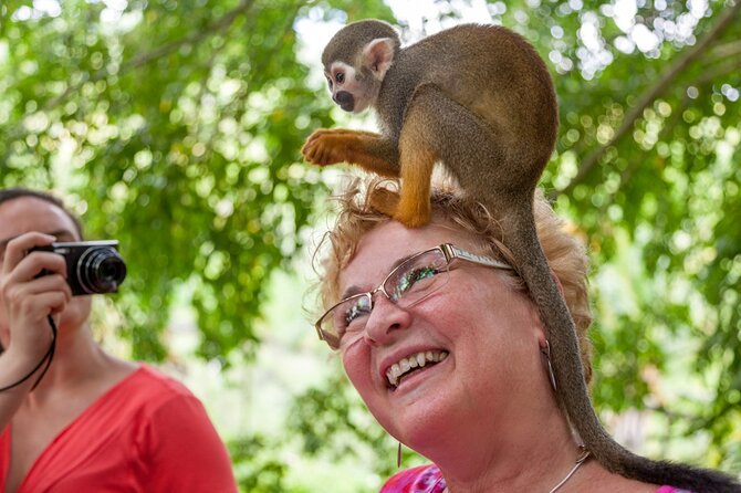 Punta Cana Monkeyland and Zipline Two Adventures in One Day - An Action-Packed Day in Punta Cana