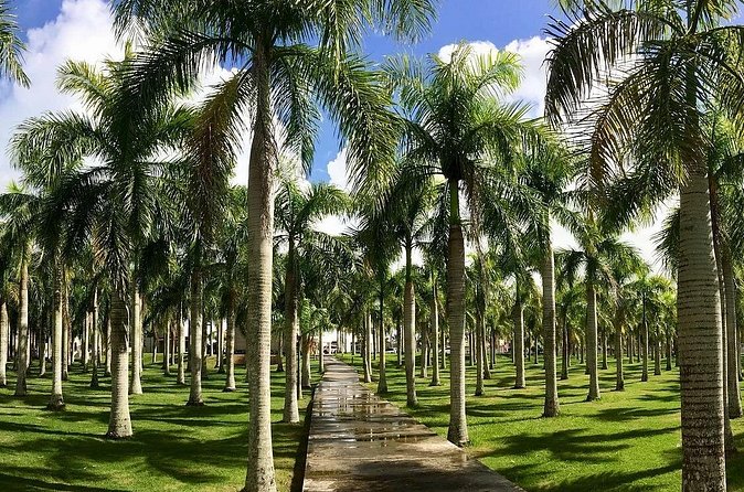 Presidential Suites By Lifestyle- Puerto Plata Airport - Who This Service Is Best For