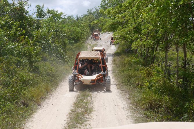 Family Buggy Adventure in Punta Cana - Authentic Experiences That Shine