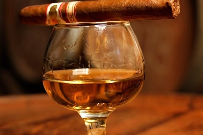 The Oliver tasting VIP & Taino Concept Store - Who Should Consider This Tour