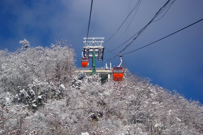 Private Day Tour: Mutianyu Great Wall, Tiananmen Square, and Forbidden City - Final Thoughts