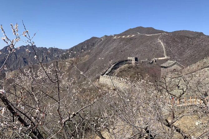 Layover Trip to Great Wall with English Driver in Beijing - Detailed Breakdown of the Itinerary