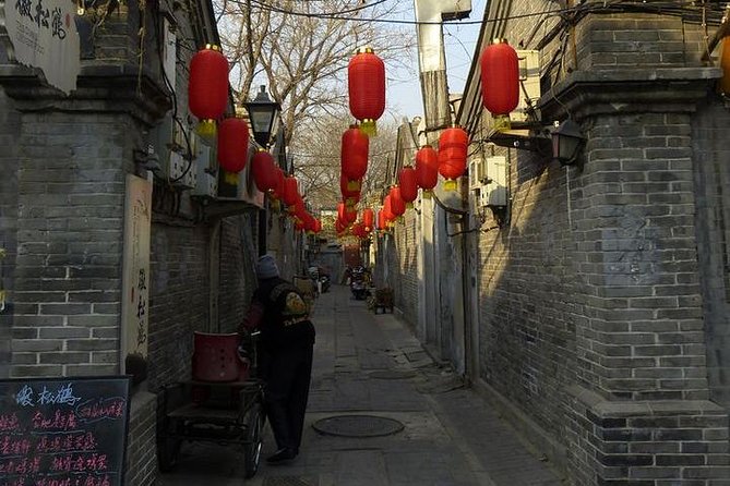 Private biking tour in Beijing Hutong handmade dumpling lunch and Forbidden city - Who Should Book This Tour?