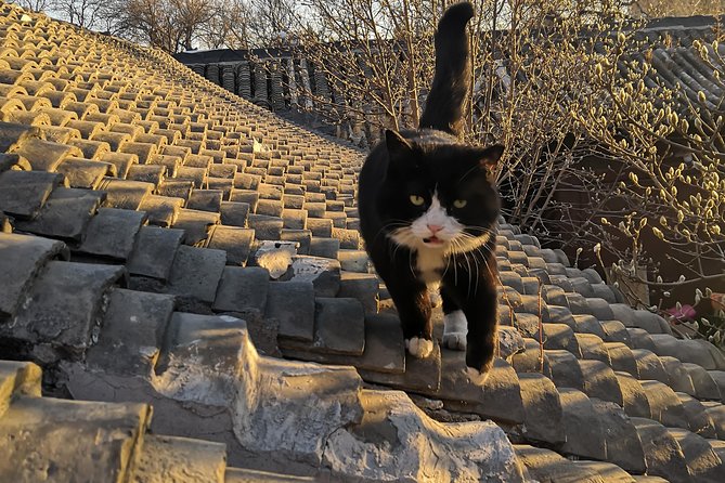 Explore Ancient Chinese Architecture & Meet its People - FAQ