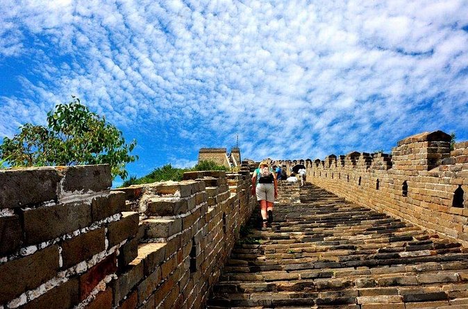 Private Day Tour of Mutianyu/Badaling Great Wall w/VIP Fast Pass - What Travelers Are Saying