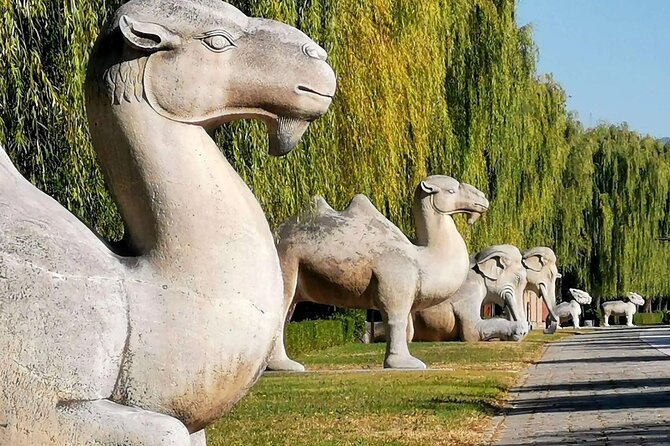 Ming Tombs Entrance Ticket with Optional Guided &Transfer Service - An In-Depth Look at the Ming Tombs Experience