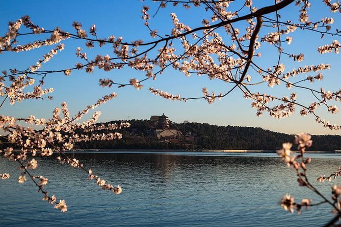 Tiananmen Square, Forbidden City and Cruise to the Summer Palace - Authentic Insights from Previous Travelers