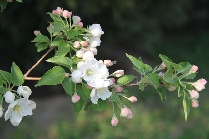 Tiananmen Square - Registration Ticket - What Are the Drawbacks?