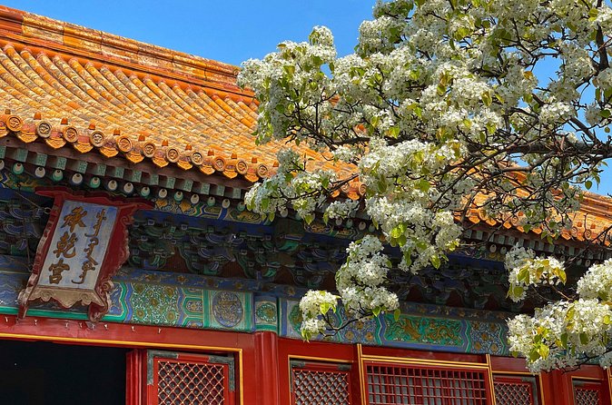 Private Forbidden City and Tiananmen with Summer Palace Tour - Practical Tips and Considerations