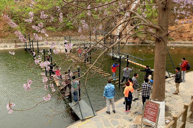 Private Shilinxia Area and UFO Glass Platform Day Tour with Lunch - Practical Considerations