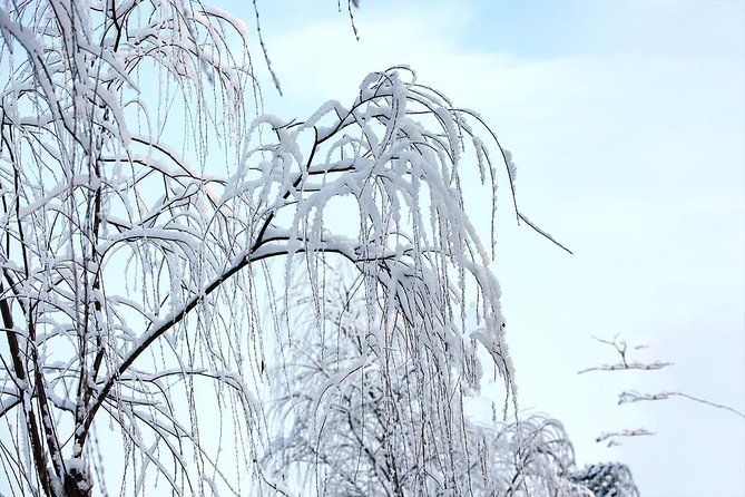 All Inclusive Private Day tour to Beijing Nanshan Ski Resort and Fengshan Hot Spring - Final Thoughts