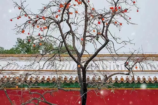 Beijing Forbidden City and Temple Heaven Private Guide Tour - Why this tour might be perfect for you