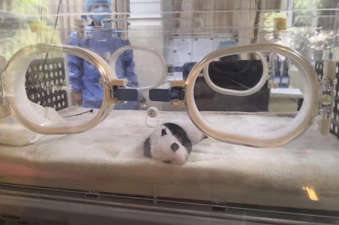 Ticket reservation for Chengdu Giant Panda Breeding Base - FAQ