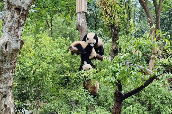 Half Private Day Chinese Bamboo Weaving Exprience - Final Thoughts