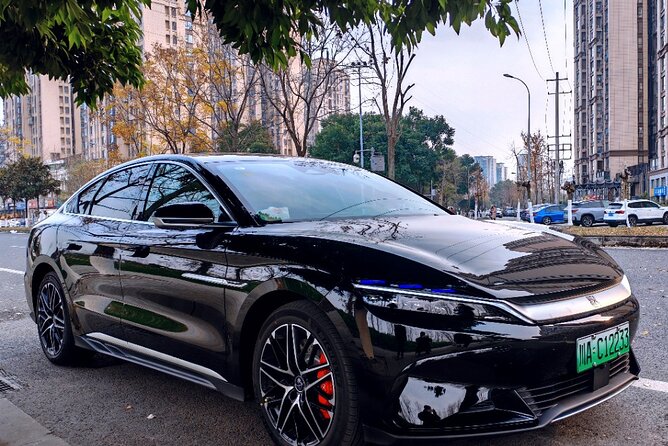 Chengdu Panda & Leshan Giant Buddha Premium Private Day Tour - A Complete Look at Chengdu’s Panda & Leshan Giant Buddha Private Day Tour