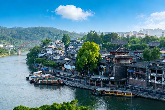Chengdu Private Day Tour to the Leshan Giant Buddha and Huanglongxi Old Town - Who Should Consider This Tour?