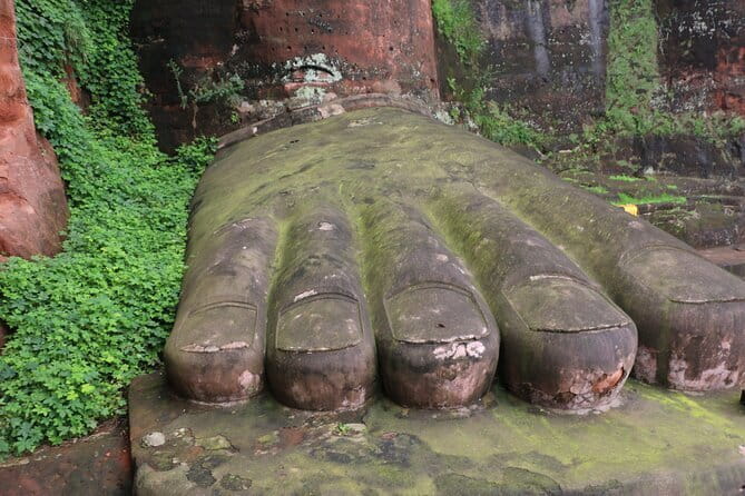 Leshan Giant Buddha day tour with tea Tasting Terrace view - Detailed Review of the Tour Experience