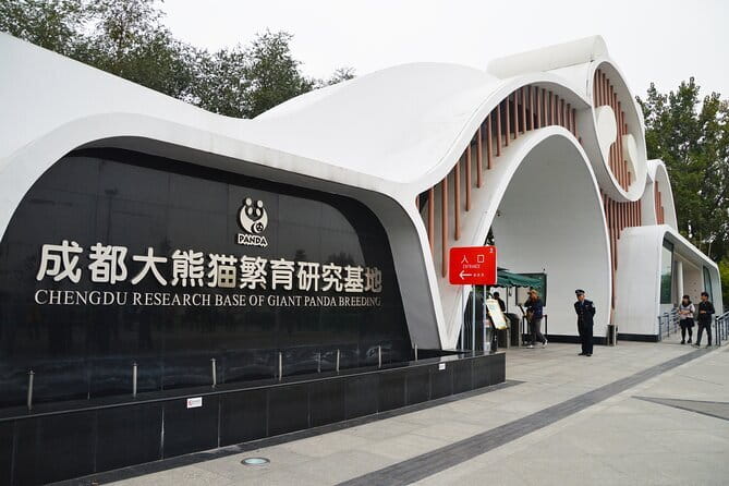 Chengdu Panda Breeding Base Ticket w/ Optional Transfer or Guide - Authentic Encounters and Insider Tips