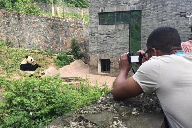 Chengdu Panda Breeding Base Ticket w/ Optional Transfer or Guide - Who Will Love This Tour?