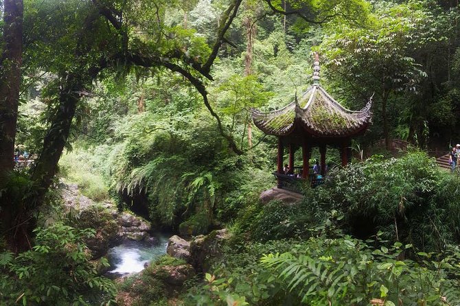 Mt Emei and Giant Buddha 2 Days Tour - Final Thoughts