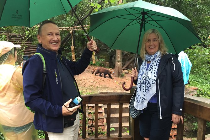 Mini Group: Half-Day Chengdu Pandas Guided Tour - Key Points