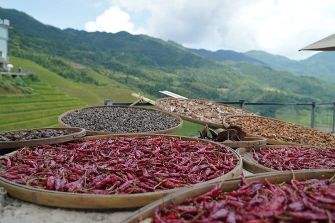 Fully-Guided Private Day Tour of Longji Terraces From Guilin - Who Should Consider This Tour?