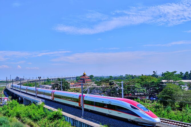 Suzhou Private Day Trip from Shanghai with Bullet Train Option - Practical Tips for Your Suzhou Day Trip