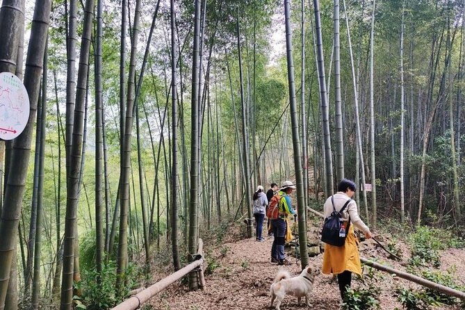 Shanghai to Hangzhou Tofu Ancient Road Hiking Tour by Train - Who Should Consider This Tour?