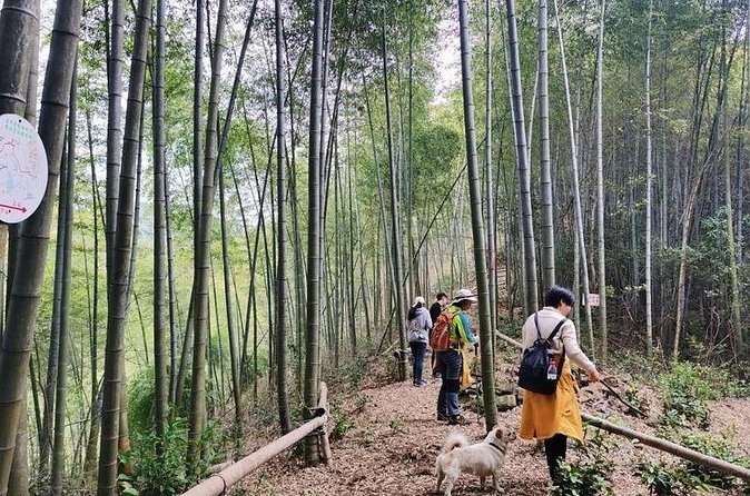 Shanghai to Hangzhou Tofu Ancient Road Hiking Tour by Train - FAQ