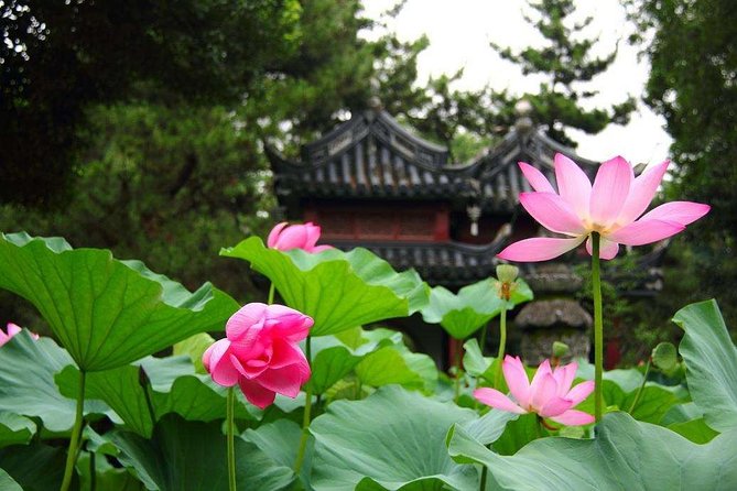 4-Hour Nanxiang Ancient Town Private Tour with Dumpling Tasting - Transportation and Flexibility