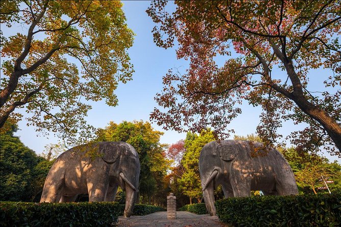 Nanjing Day Tour from Shanghai by Bullet Train - Starting the Day: Easy Pickup and Bullet Train Journey