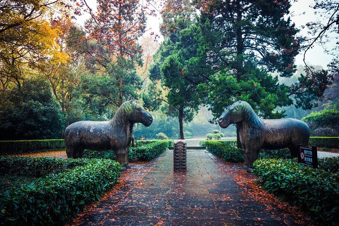 Nanjing Day Tour from Shanghai by Bullet Train - Exploring the Ming City Wall and Laomendong District