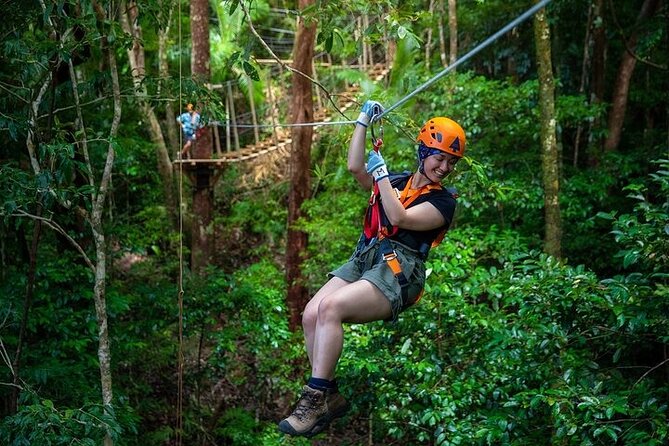 Ziplining Cape Tribulation with Treetops Adventures - Authentic Experiences and Honest Feedback