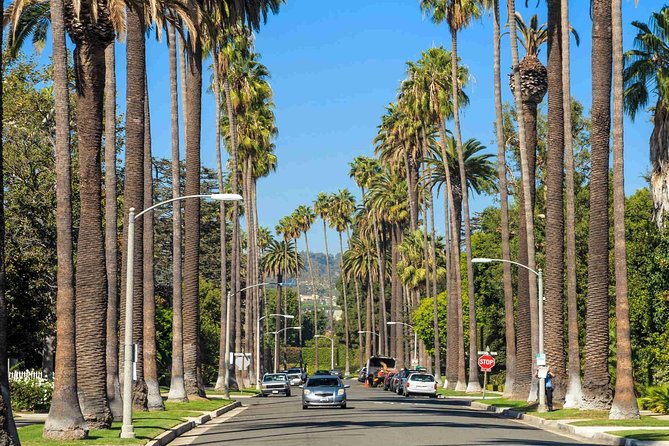 4-Hour private limo Tour of Los Angeles by a TV personality with Free Drinks - Who Would Love This Experience?