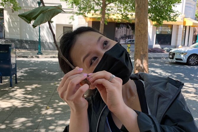 Santa Monica Scavenger Hunt - Santa Monica Scavenger Hunt: A Fun and Authentic Way to Explore