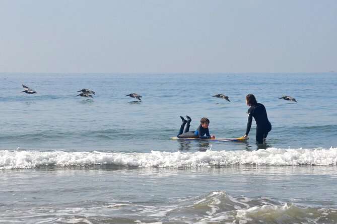 Private Surf Lesson in Santa Monica Bay St - Key Points