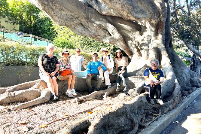 Discover Santa Monicas Lush Gardens, Trees & Neighborhoods - In-Depth Look at the Santa Monica Garden Safari