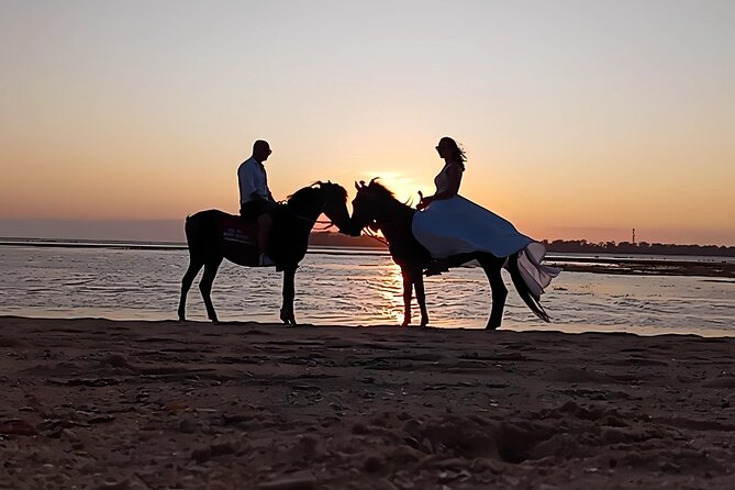 Gili Meno Horse Riding Adventure on the Beach for 1 Hour - The Itinerary: What to Expect