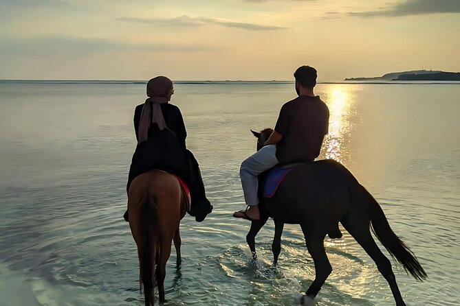 Gili Meno Horse Riding Adventure on the Beach for 1 Hour - Practical Tips for Your Horse Riding Adventure