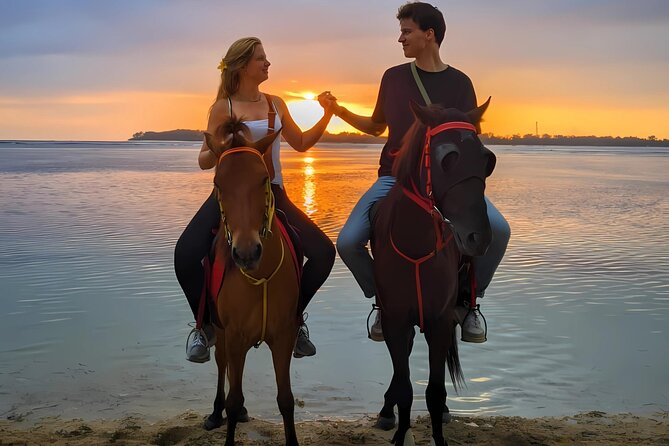 Gili Meno Horse Riding Adventure on the Beach for 1 Hour - The Value of the Experience