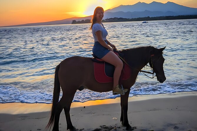 Gili Meno Horse Riding Adventure on the Beach for 1 Hour - FAQ
