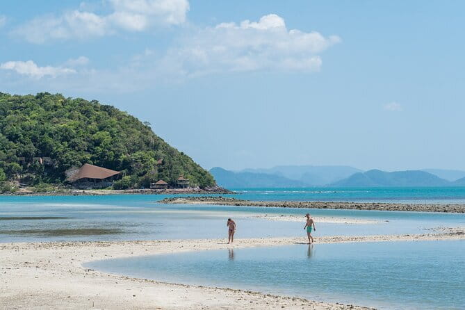Private Half Day Trip to Pig Island and Koh Tan by Long Tail Boat - Who Should Book This Tour?