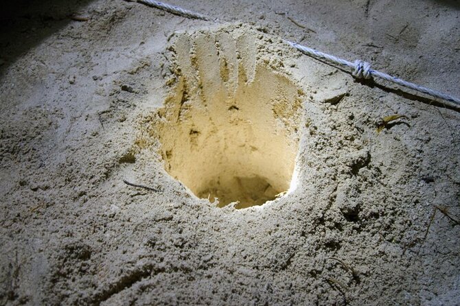 From Sandakan: 2D1N Turtle Island & Sepilok Wildlife Experience - Final Thoughts