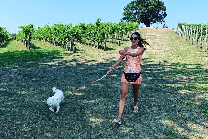 Private Dog Friendly Wine Tour with your Local Guide - Authentic Experiences and Hidden Gems