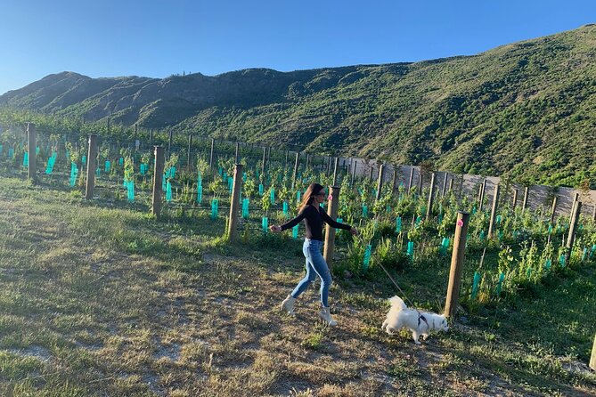 Private Dog Friendly Wine Tour with your Local Guide - Key Points