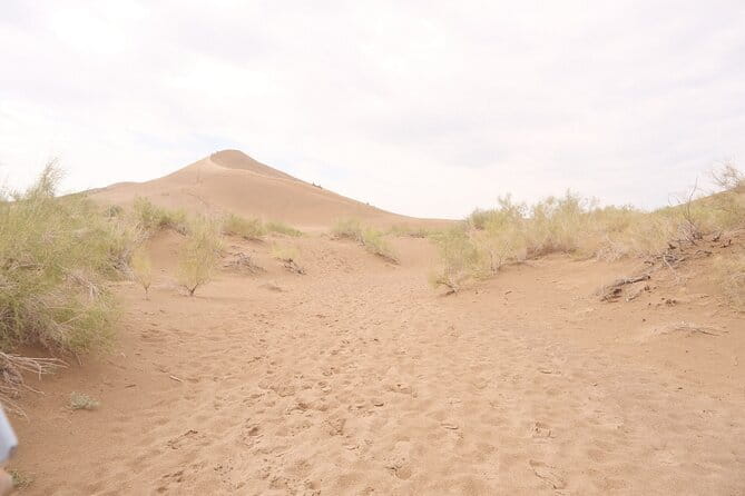 Private Outdoor Travel to Explore Kazakhstan - What Makes This Tour Stand Out?