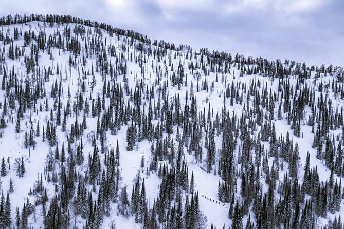 One Day Ski Tour Near Almaty - Good To Know  