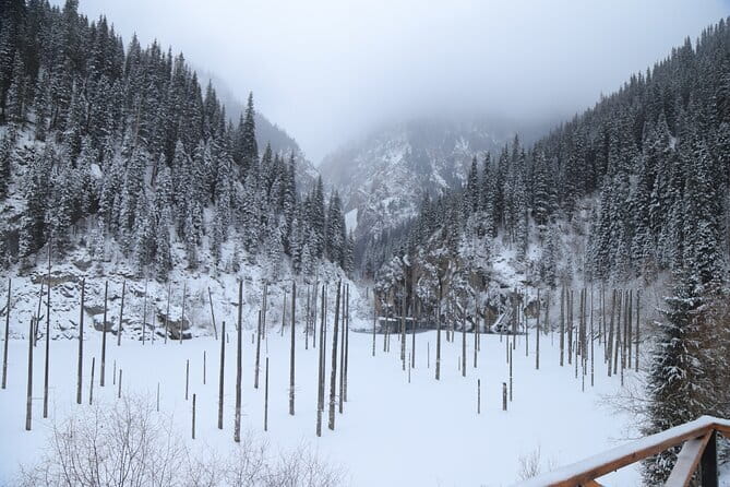 Private Charyn Canyon, Kolsai Lake with Optional Kaindy Lake tour - An In-Depth Look at the Tour