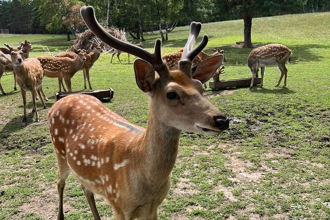 Almaty City Tour Green Bazaar Iconic City Routes and Kok Tobe - Final Thoughts: Is This Tour for You?
