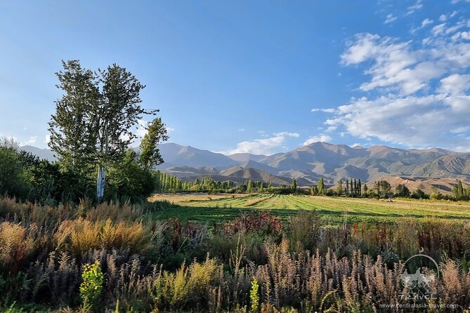 Four Stans Odyssey: Through the Heart of Central Asia, 17d - Final Thoughts